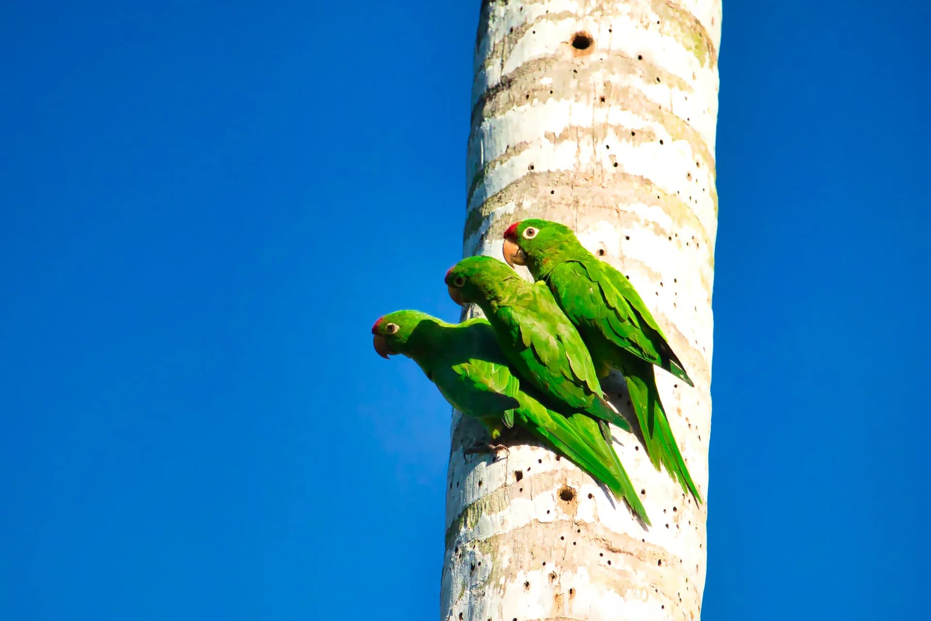 Costa Rica